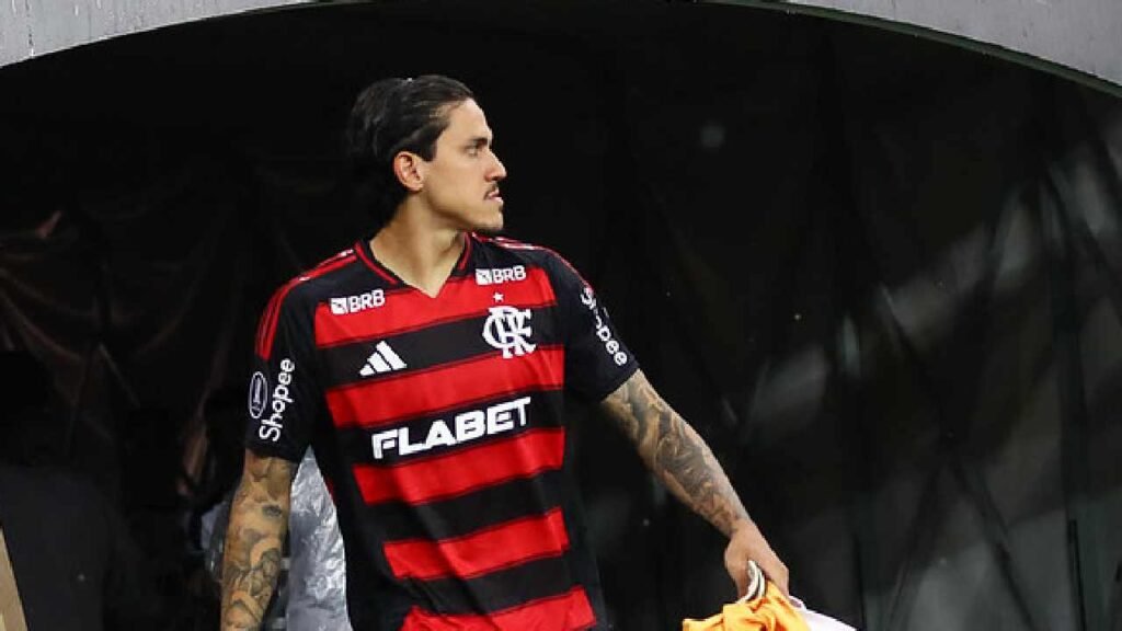1744594106_Pedro-1.jpg