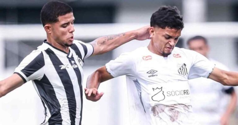 botafogo-e-superado-pelo-santos-por-4-1-em-estreia-no-campeonato-brasileiro-sub-20.jpg