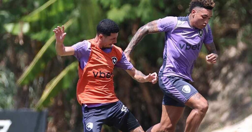 botafogo-realiza-jogo-treino-contra-o-cruzeiro-preparacao-para-o-brasileiro-de-2025.jpg