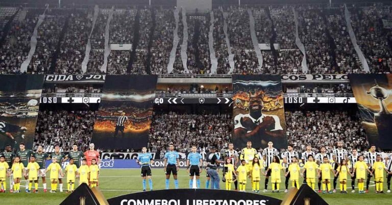 botafogo-vence-carabobo-em-jogo-suado-e-siga-na-luta-pelo-bi-na-libertadores.jpg