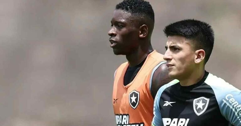 botafogo-vende-direitos-de-jogadores-e-busca-novos-reforcos-para-o-elenco.jpg