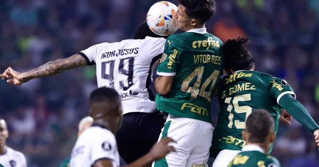 palmeiras-x-botafogo-historia-continua-com-emocao-na-primeira-rodada-do-brasileirao.jpg